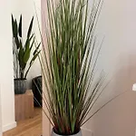 N&l Apartment *