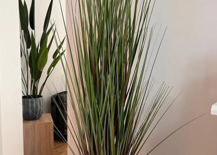 N&l Апартаменты *